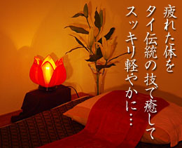 �z�n�E�V�x�� �^�C�Î��}�b�T�[�W �`���C�f�B�[